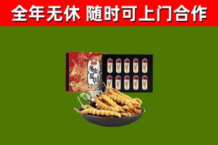 东海县回收冬虫夏草价格